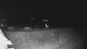 Skiareál Lázeňský vrch - Sjezdovka - 17.6.2025 v 00:09