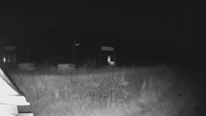 Skiareál Lázeňský vrch - Sjezdovka - 17.6.2025 v 01:34