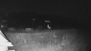 Skiareál Lázeňský vrch - Sjezdovka - 17.6.2025 v 02:19