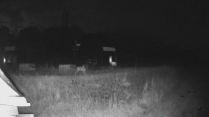 Skiareál Lázeňský vrch - Sjezdovka - 17.6.2025 v 02:29