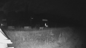 Skiareál Lázeňský vrch - Sjezdovka - 17.6.2025 v 02:34