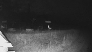 Skiareál Lázeňský vrch - Sjezdovka - 17.6.2025 v 02:49