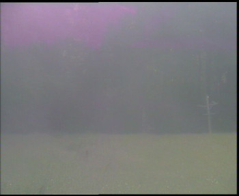 Snímek    17.6.2025 v 06:30