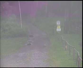 Snímek    17.6.2025 v 06:30