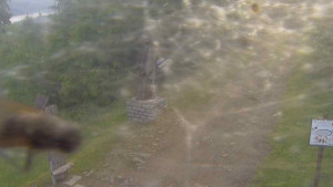 Skiareál Bílá - Bílá - běžecká trať - 17.6.2025 v 05:55