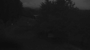 Skiareál Bílá - Lanovka - výstupní stanice - 17.6.2025 v 03:55