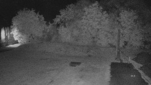TJ Němčičky - Koberec - 17.6.2025 v 00:00