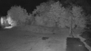 TJ Němčičky - Koberec - 17.6.2025 v 01:30