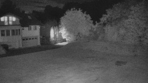 TJ Němčičky - Koberec - 17.6.2025 v 03:00