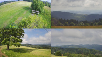 Snímek    17.6.2025 v 08:31