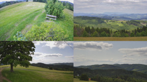 Bludný - Rajnochovice Troják - Sdružený snímek Bludný - 17.6.2025 v 14:31