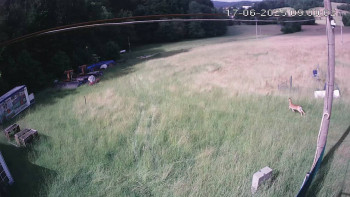 Snímek    17.6.2025 v 09:00