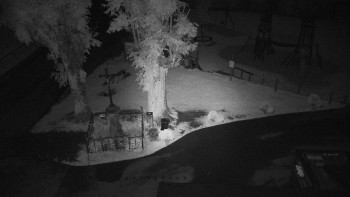 Snímek    17.6.2025 v 03:40