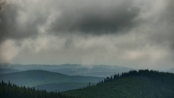 Snímek    17.6.2025 v 09:30