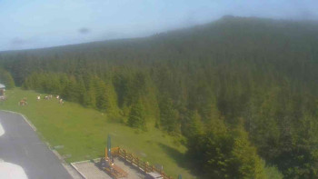 Snímek    17.6.2025 v 16:35