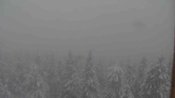 Snímek    18.5.2025 v 16:30