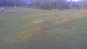 Ski klub RD Rýmařov - Areál ski klubu - 17.6.2025 v 05:30