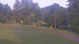 Ski klub RD Rýmařov - Areál ski klubu - 17.6.2025 v 05:30