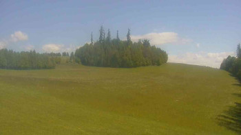 Snímek    25.5.2025 v 11:00