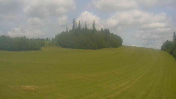 Snímek    17.6.2025 v 13:30