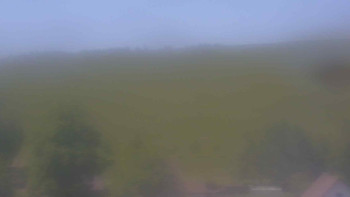 Snímek    25.5.2025 v 11:00
