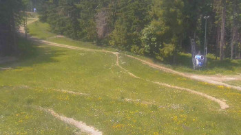 Snímek    17.6.2025 v 13:31