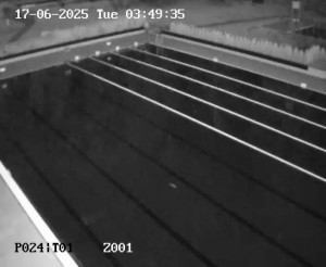 Koupaliště Petynka - Hlavní bazén - 17.6.2025 v 03:45