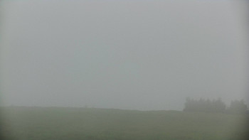 Snímek    17.6.2025 v 09:30