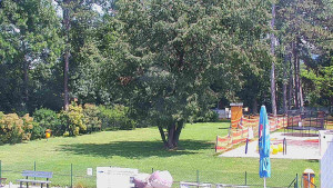 Koupaliště Bystřice pod Hostýnem - Beach volejbal - 17.6.2025 v 13:45