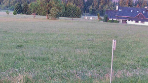 Rejvíz - Běžecké stopy - Rejvíz - Běžecké stopy - 17.6.2025 v 05:00