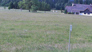 Rejvíz - Běžecké stopy - Rejvíz - Běžecké stopy - 17.6.2025 v 09:00
