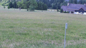 Rejvíz - Běžecké stopy - Rejvíz - Běžecké stopy - 17.6.2025 v 10:00