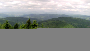 Snímek    17.6.2025 v 11:00