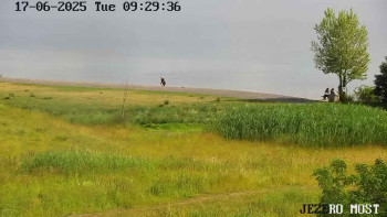 Snímek    17.6.2025 v 09:30