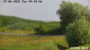 Snímek    17.6.2025 v 09:45