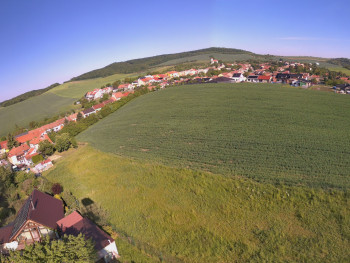 Snímek    21.5.2025 v 08:16