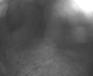 Lyžařský vlek Karlova Studánka - Sjezdovka - 17.6.2025 v 00:45