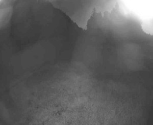 Lyžařský vlek Karlova Studánka - Sjezdovka - 17.6.2025 v 03:45