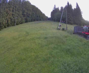 Lyžařský vlek Karlova Studánka - Sjezdovka - 17.6.2025 v 04:45