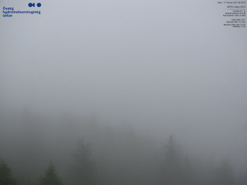 Snímek    17.6.2025 v 08:45